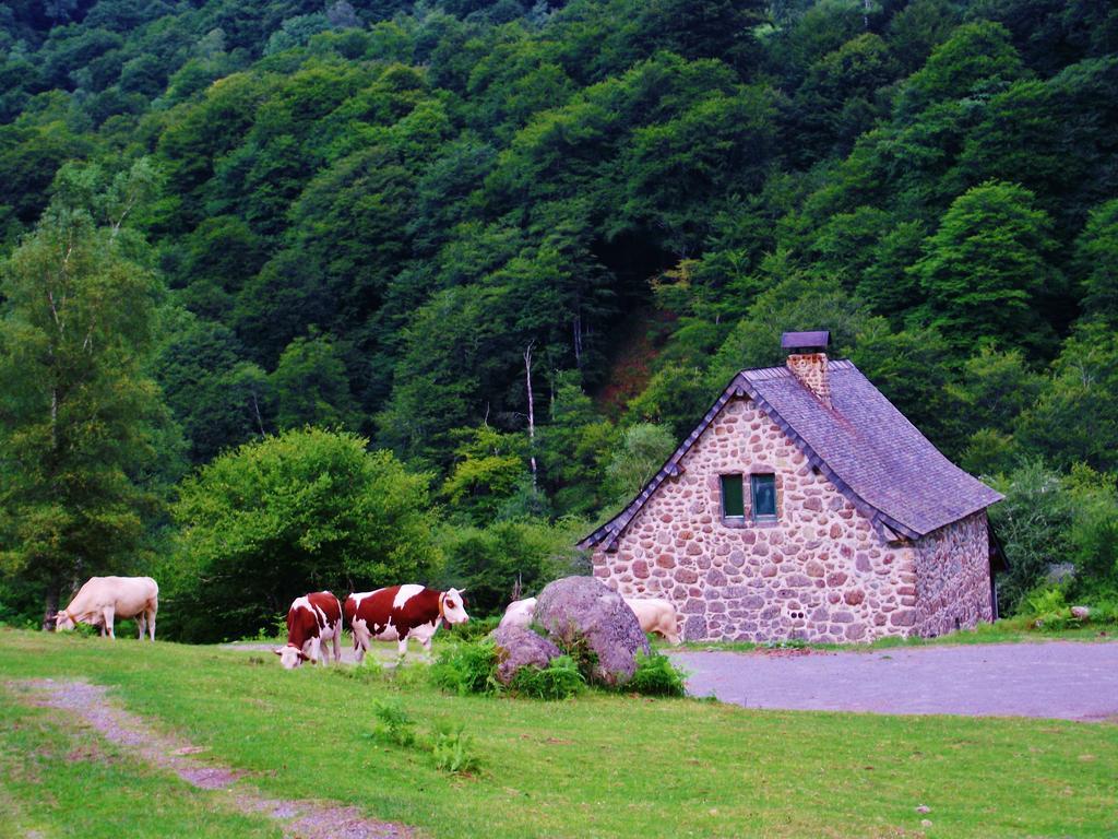 Les Chalets De La Foret D'Issaux Osse-en-Aspe Exterior photo